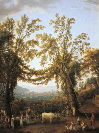 Efterår, høst nær Sorrento (olie på lærred) af Jacob Philippe Hackert