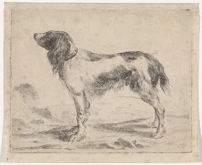 stående hund Hunde (serietitel) af Jacob Toorenvliet