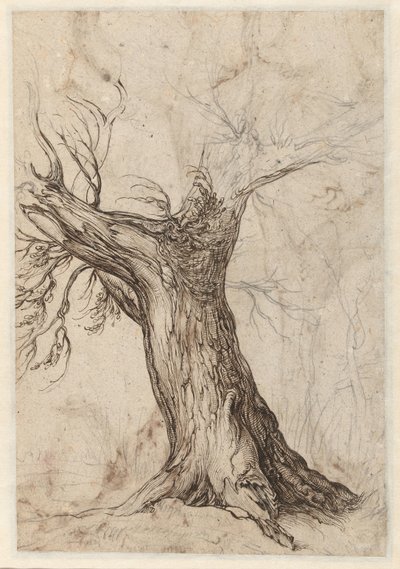 Kastanjetræ med nogle træer omkring af Jacob de Gheyn (II)