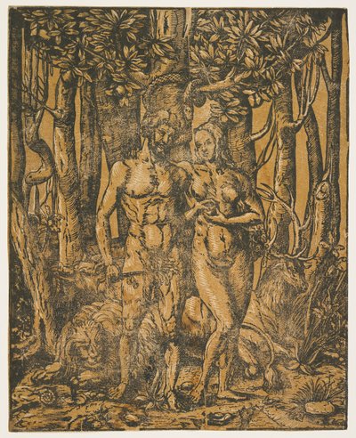 Adam og Eva, 1500-tallet af Jacob the Elder attr. to Lucius
