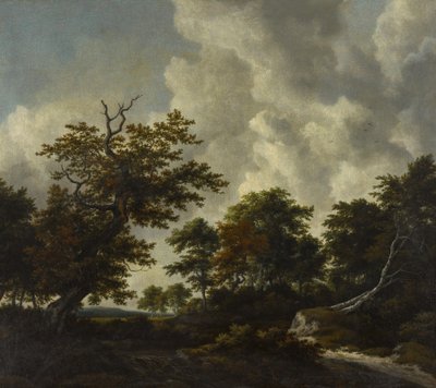 Skovlandskab med en stor eg og to væltede bøge ved et vandfald af Jacob van Ruisdael