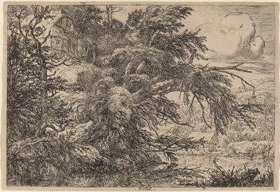 Sommerhus på en Bakke af Jacob van Ruisdael