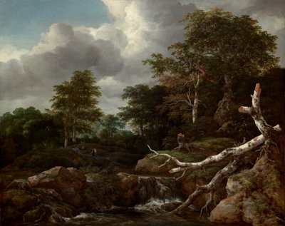 Skovscene, ca. 1655. af Jacob van Ruisdael