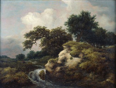 Landskab med klit og lille vandfald af Jacob van Ruisdael