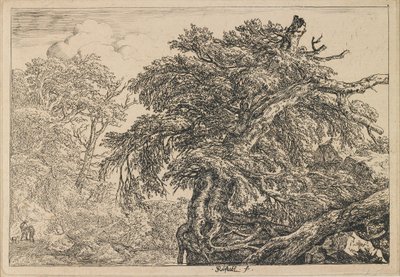  af Jacob van Ruisdael