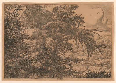 Det stråtækte sommerhus på Bakken af Jacob van Ruisdael