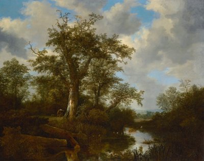 Skovlandskab med kvæg, der krydser et vandløb af Jacob van Ruisdael