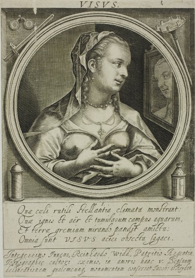 Syn, plade 1 fra De fem sanser af Jacob van der Heyden