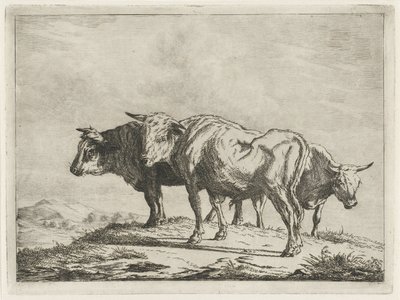 Tre okser af Jacobus Cornelis Gaal