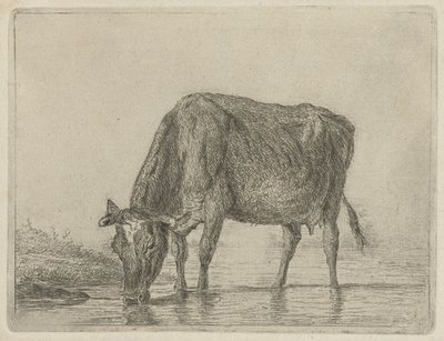 drikkende ko af Jacobus Cornelis Gaal