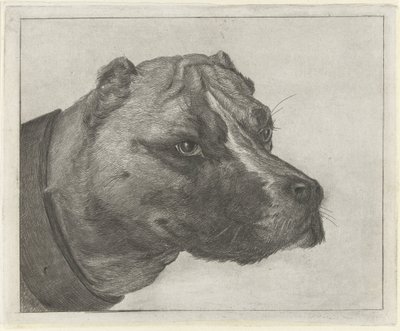 Hundehoved med halsbånd af Jacobus Cornelis Gaal