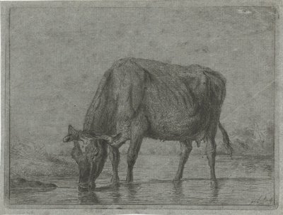 Ko drikker af en vandpyt af Jacobus Cornelis Gaal