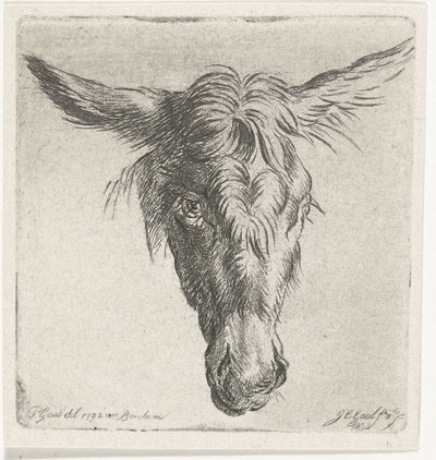 Hovedet af et æsel af Jacobus Cornelis Gaal