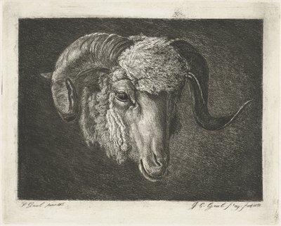 Hoved af en vædder med skæve horn af Jacobus Cornelis Gaal