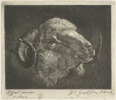 Hovedet af en vædder med horn vendt tilbage af Jacobus Cornelis Gaal