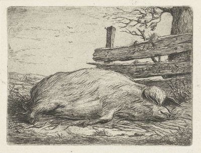 Liggende vildsvin af Jacobus Cornelis Gaal