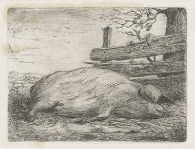 Liggende vildsvin af Jacobus Cornelis Gaal