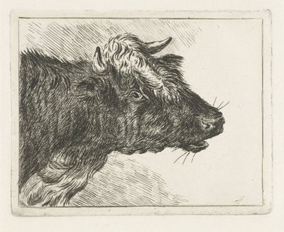 Brølende okse af Jacobus Cornelis Gaal