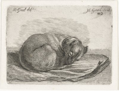 Sovende hund, liggende på et tæppe af Jacobus Cornelis Gaal