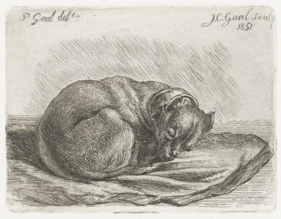 Sovende hund, liggende på et tæppe af Jacobus Cornelis Gaal