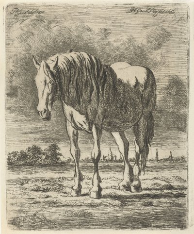 Stående hvid hest af Jacobus Cornelis Gaal