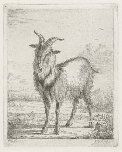stående ged af Jacobus Cornelis Gaal