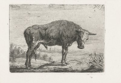stående tyr af Jacobus Cornelis Gaal