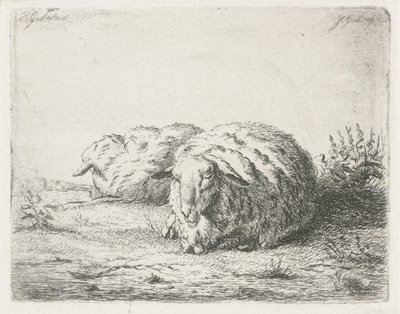 To liggende får af Jacobus Cornelis Gaal