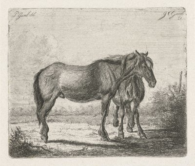 To heste af Jacobus Cornelis Gaal