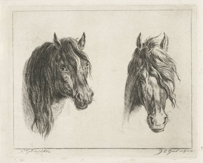 To hestehoveder af Jacobus Cornelis Gaal