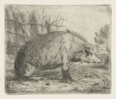 Siddende vildsvin af Jacobus Cornelis Gaal