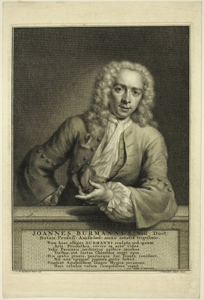 J. Burmannus af Jacobus Houbraken