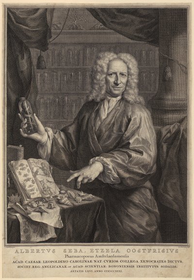  af Jacobus Houbraken