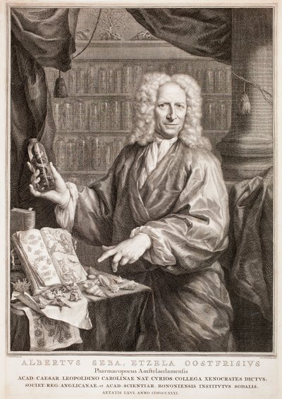  af Jacobus Houbraken