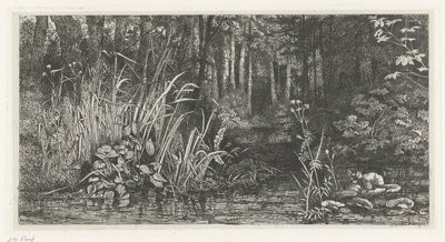 Bosbeekje af Jacobus Ludovicus Cornet