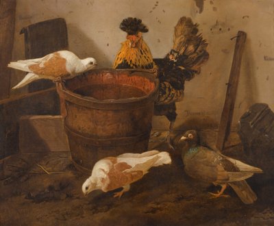 Tre duer og en hane ved en spand vand af Jacomo Victors
