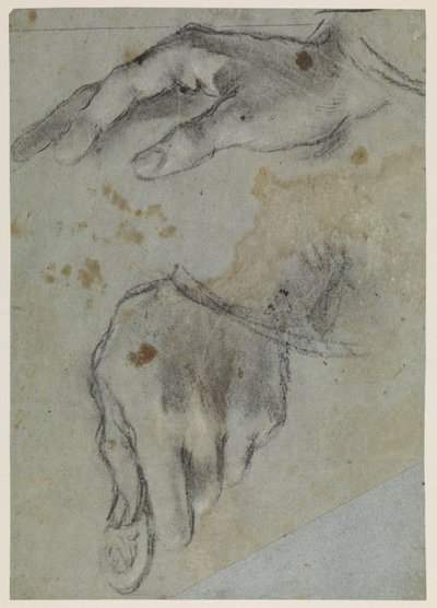 Studier af hænder, recto, 1500-tallet af Jacopo Bassano