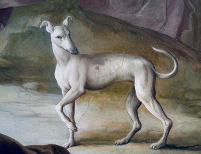 Hund, detalje fra freskomaleri af Jacopo Guarana (1720-1808), centrale hal i Villa Contarini, Valnogaredo, Veneto, Italien af Jacopo Guarana