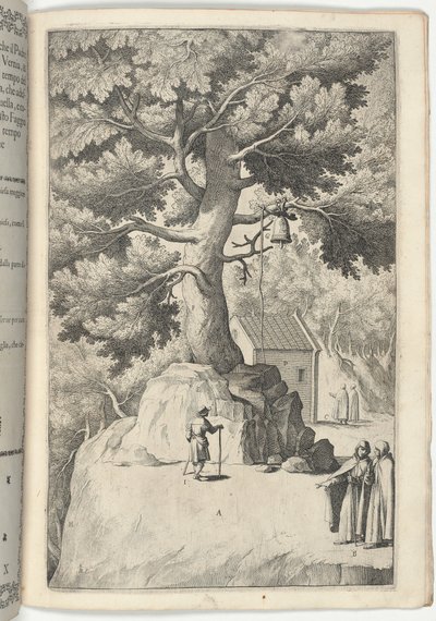 Bøgetræ med klokken (Faggio della campana) [plade X] af Jacopo Ligozzi