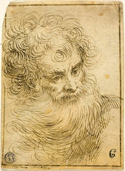 Hoved af skægget gammel mand (recto); Dekorativ skitse af blomster og blade (verso) af Jacopo Palma il Giovane