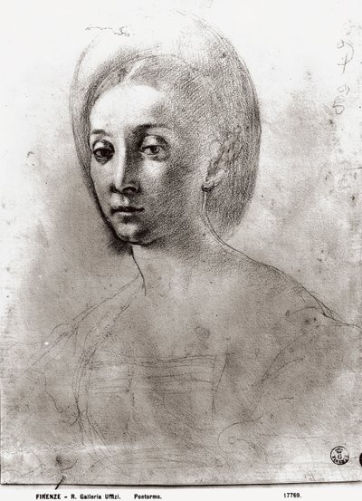 Head of a Woman (kridt på papir) af Jacopo Pontormo