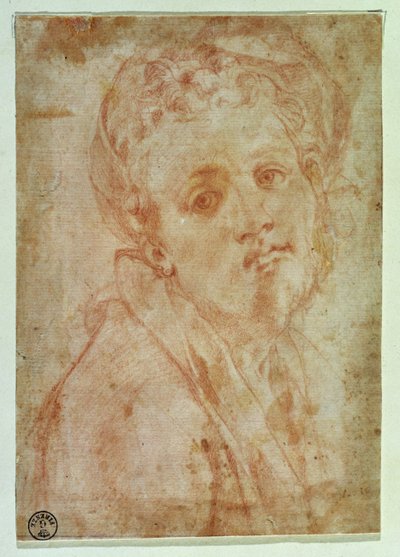 Selvportræt (rødt kridt på papir) af Jacopo Pontormo