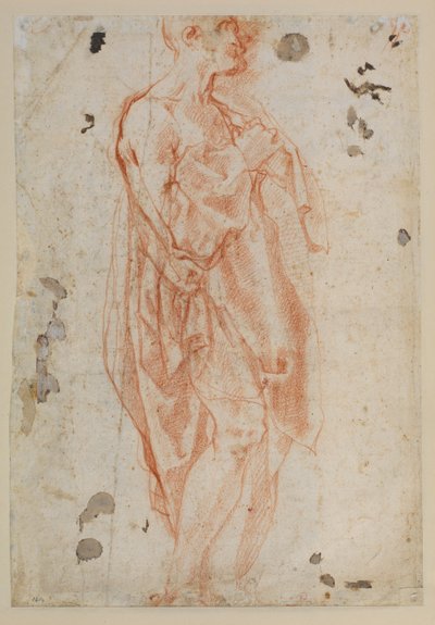 Studie for Saint Jerome af Jacopo Pontormo