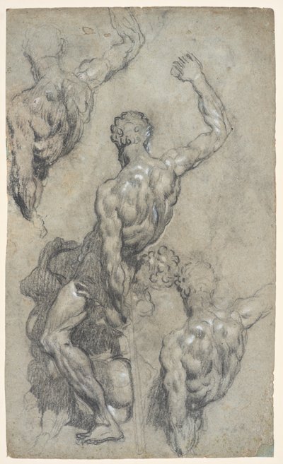 Studier af Michelangelos "Samson and the Philistines", ca. 1575-85 (kridt, trækul, gouache, papir) af Jacopo Robusti (workshop of) Tintoretto