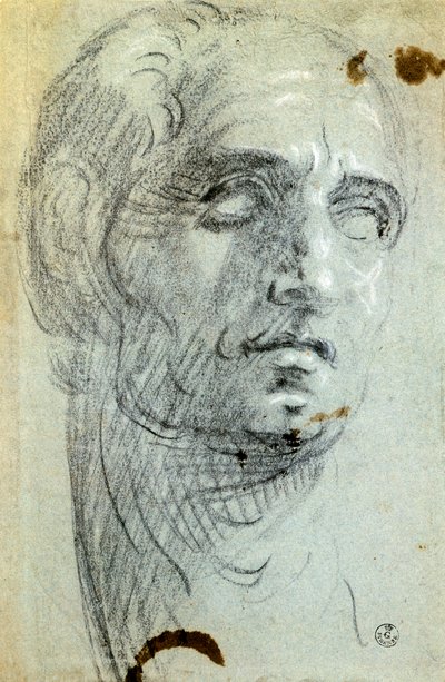 Mandshoved af Jacopo Robusti kendt som Tintoretto (1518-1594), tegning af Jacopo Robusti Tintoretto