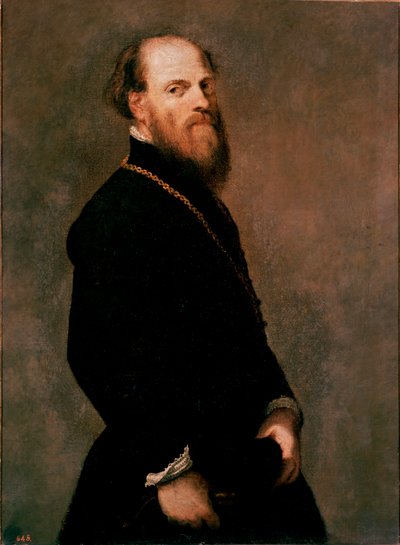Portræt af en gentleman i guldkæden maleri af Jacopo Robusti dit Tintoretto af Jacopo Robusti Tintoretto