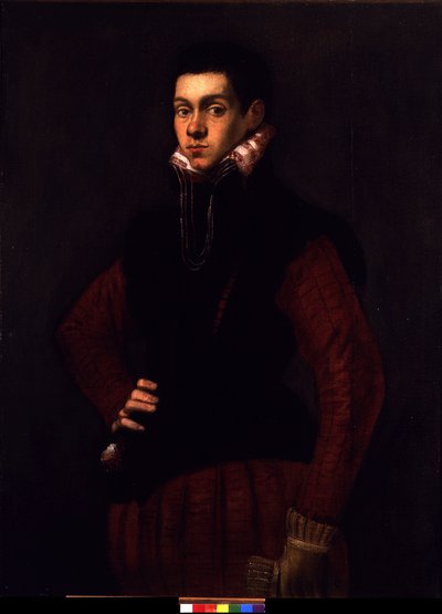 Portræt af en ung mand, ca. 1565 (olie på lærred) af Jacopo Robusti Tintoretto