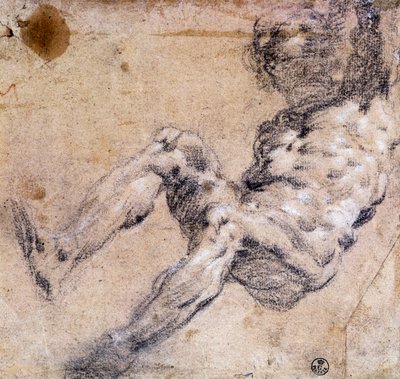 Undersøgelse af nøgen mand af Jacopo Robusti Tintoretto