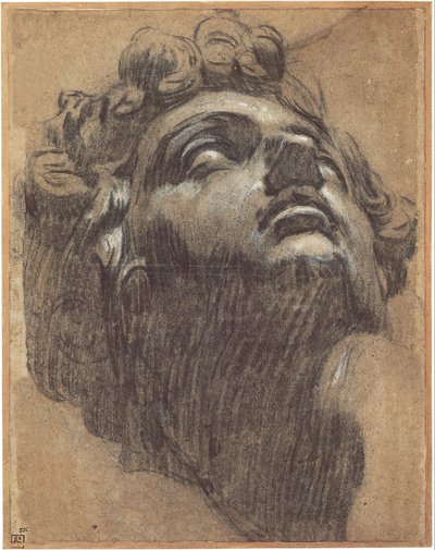 Leder af Giuliano de