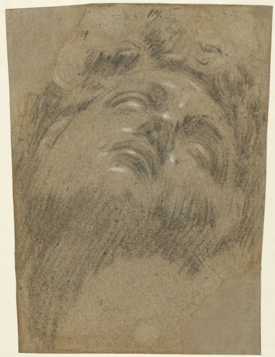 Hoved af Giuliano dei Medici af Jacopo Tintoretto